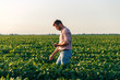 © Zoran Zeremski - Young farmer standing in filed holding tablet in his hands and examining soybean corp.