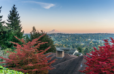 Wall Mural - Red Leaves Landscape 2