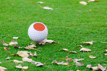 golf ball on green grass