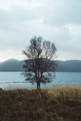 Wall Mural - Nature in North Norway