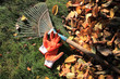 © Syndy - A fan rake and gloves lie on the grass next to fallen autumn leaves.
