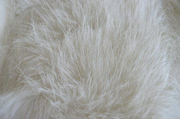 White fur 