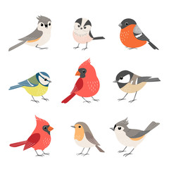 collection of cute winter birds
