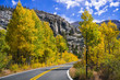 Driving through the Sierra mountains on a sunny autumn day, California