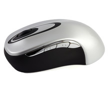 Black And White Female Scroll Work Free Stock Photo - Public Domain