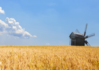 Wall Mural - agriculture field old windmills