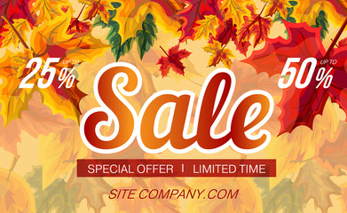 Wall Mural - Trendy template with promotion of seasonal sale and design of autumnal leaves 