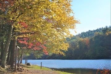 fantastic view of mountain ,colorful leaves on the trees with reflection in the lake at vogel state 