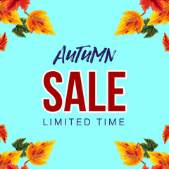 Wall Mural - Modern vector banner with blue background and colorful leaves in design with advertisement of autumn sale