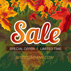 Wall Mural - Colorful template for sale in autumnal leaves on green background and website promotion