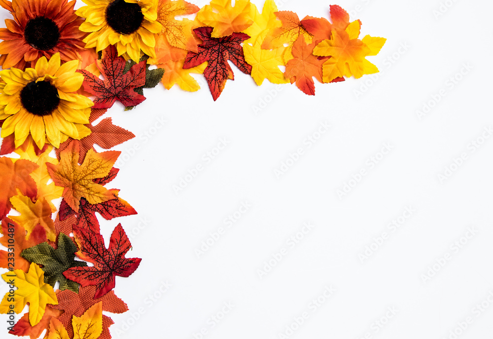 Autumn themed border with colorful leaves, flowers and decorations on a ...