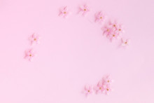 Little Pink Flower Pattern On Pink Background