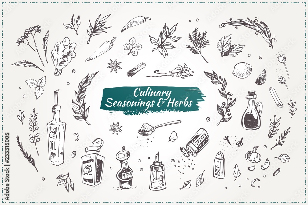 Culinary seasonings and herbs. Hand drawn icons Stock Vector | Adobe Stock