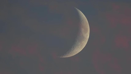 Wall Mural - moon detailed closeup