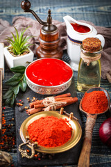 Spices and condiments for food