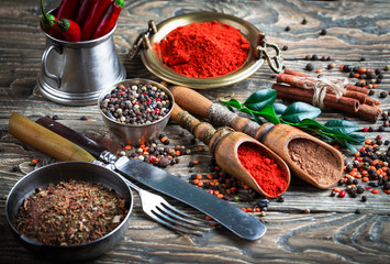 Spices and condiments for food