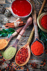 Spices and condiments for food