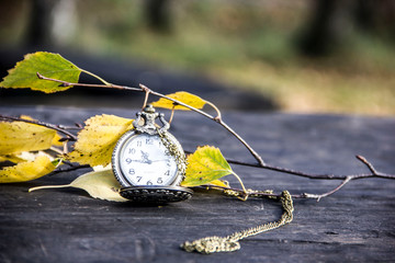 Pocket watch on a background of yellow leaves