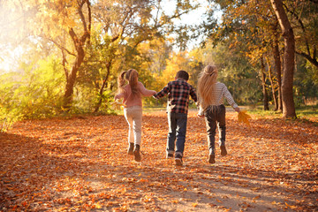 Wall Mural - Cute little children having fun in autumn park