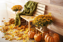 Beautiful Autumn Composition With Bench, Pumpkins And Leaves Near Wooden Wall