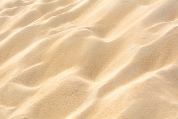 Wall Mural - The beach sand texture full frame background