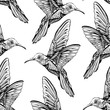 Hummingbird in flight.Detailed drawing of a bird.handmade.Vector illustration isolated on white background,seamless pattern