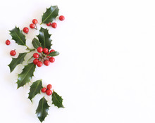 Christmas Holly Ilex Aquifolium Isolated On White Table Background. Evergreen Leaves With Red Berries. Empty Space For Holiday Text. Decorative Floral Frame, Web Banner. Flat Lay, Top View.