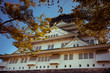 other scene of osaka castle one of most popular traveling destination in osaka japan
