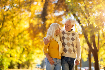 Poster - Senior couple in autumn park