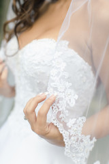 Canvas Print - Bride in white wedding dress with lace veil