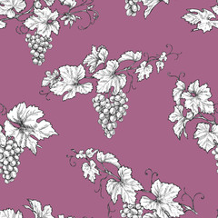 Wall Mural - Seamless Pattern with Grape Branches
