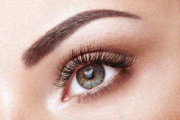 Wall Mural - female eye with extreme long false eyelashes. eyelash extensions. makeup, cosmetics, beauty. close u