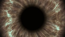 Brown Human Eye Dilating And Contracting. Very Detailed Extreme Close-up Of Iris And Pupil.