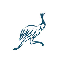 Stylized Emu Bird Running On White Background. Australian Ostrich For Logo Design.