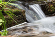 © danysharipova - A little waterfall that flowing from the green rain-forest jungle to the pond in Japan, as abstract natural background.