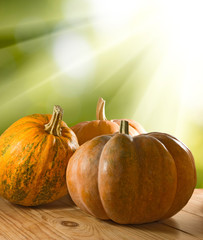 Wall Mural - image of pumpkin closeup