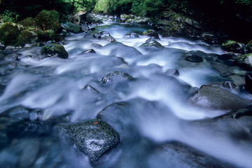 A riverbed with a stone - 石のある河床