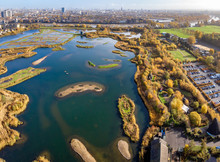 London Wetland In The Autumn