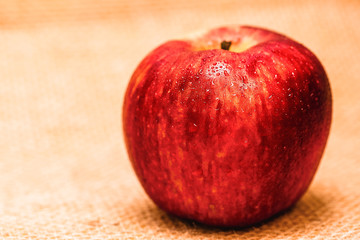 Delicious red apple