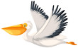 A pelican character on white background