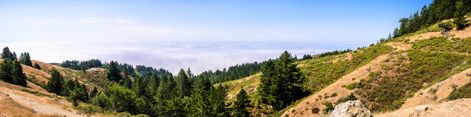 Panoramic view of the hills and valleys of Mt Tamalpais State Park, sea of clouds covering the Pacific Ocean in the background; Marin County, north San Francisco bay area, California