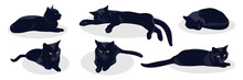 Black Cat In Different Poses Isolated On White Background. Set Of Silhouettes Of A Black Cat