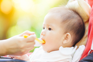 mother feeding her 7 months baby in the garden.