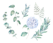 Watercolor Greenery Set. Botanical  Winter Illustration With Eucalyptus Branch And Blue Hydrangea. Vintage Hand Drawn Plant