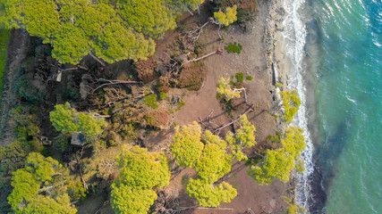 Wall Mural - Torre Mozza, Tuscany. Aerial view of beautiful beach and pinewood after a severe storm in autumn