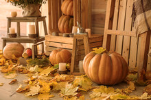Beautiful Autumn Composition With Pumpkins And Leaves Near Wooden Wall