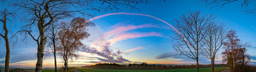 Wall Mural - Panorama of sunrise in morning field and forest