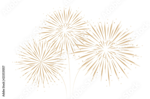 Fotografía firework isolated on white background vector illustration EPS10