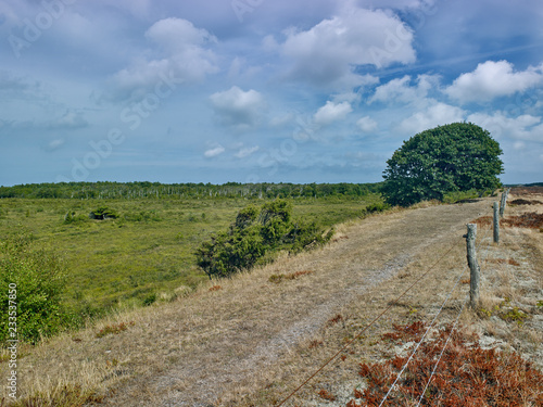 Fotografia, Obraz Laesoe / Denmark: View from edge of a parched heath landscape over the green coa