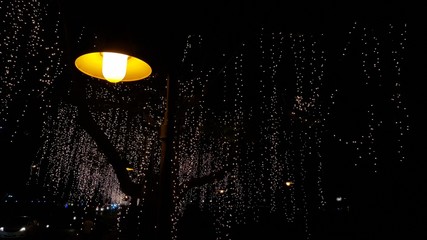 lamp in the night